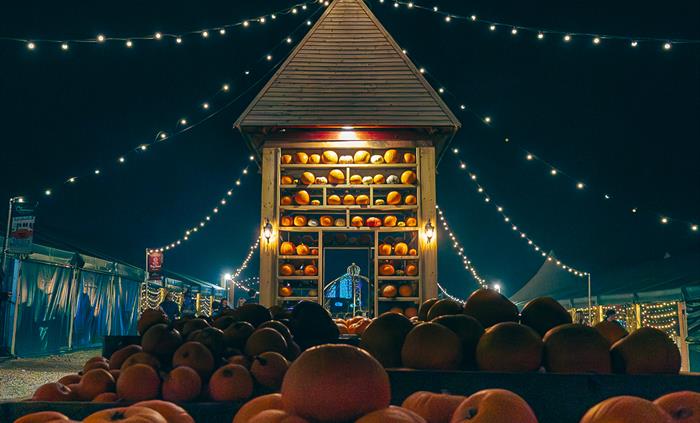 Pumpkin Fest Nights